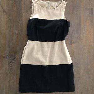 Banana Republic Block Striped Sleeveless Dress